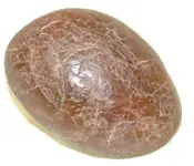 DSCF1797.webp