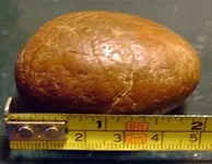 DSCF0191.webp