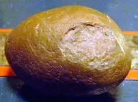 DSCF0080.webp