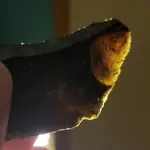 b flake trans.webp