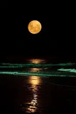 ea7c586614f79fc195c561736e7dda20.webp