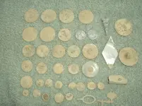 9-15-12 My finds - dirty.webp