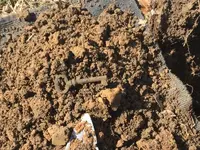 5 - Key - In the Dirt.webp