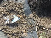 4 - Large Cent in the Dirt.webp