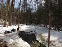 DSCN0537.webp