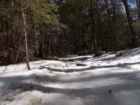 DSCN0539.webp