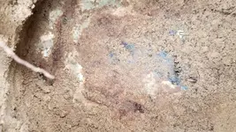 20190316_123210.webp
