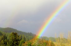 rainbow 014.JPG