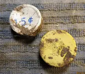 3 Bee Plc 03 08 09 2019 Caps.webp