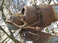 20190209_102041_HDR.webp