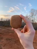 ImageUploadedByTreasureNet.com1554247781.131334.webp