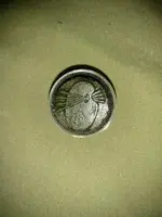 shield front.webp