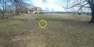 20190301_155106.webp
