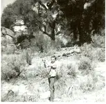 Bobby with quail 1964.webp