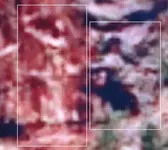 Colorado Ghosts 3.webp