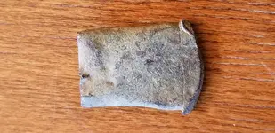 20190325_172655.webp