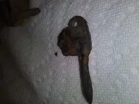 0402191907.webp