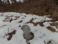 DSCN0558.webp
