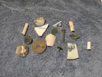 DSCN0055.webp