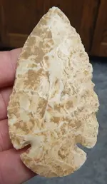 DSCN5155.webp