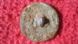 3-17-19, USA rev button (2).webp