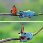 uGnuFNNs_2019503033641.webp