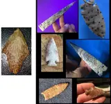 Palmspeckled.webp