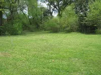 IMG_0613.webp