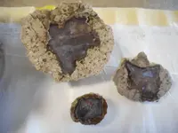 DSCN0216.webp