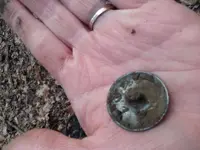 20190316_144707.jpg