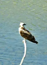 DSCN8375.webp