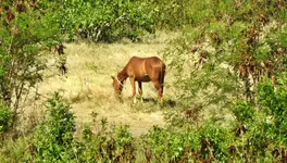 DSCN8377.webp