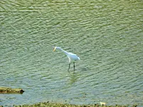 DSCN8378.webp