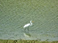 DSCN8383.webp