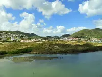 DSCN8387.webp