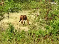 DSCN8388.webp