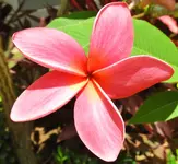 DSCN8390.webp