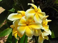 DSCN8391.webp