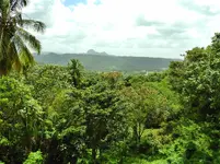 DSCN8399.webp