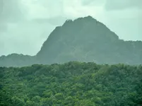 DSCN8402.webp