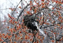 K1600_DSCN4266_InPixio.webp