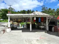 DSCN8405.webp