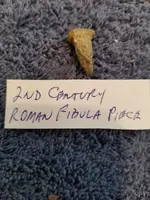 Eng3fibula.webp
