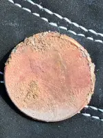 2016 penny.webp