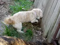 walk 041819 1.webp