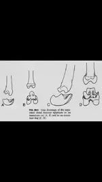 ImageUploadedByTreasureNet.com1551579879.207676.webp