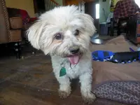 walk 041819 6.webp