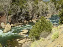 trip 041219 9.webp