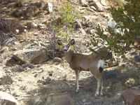trip 041219 10.webp