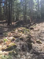 old stone wall.webp
